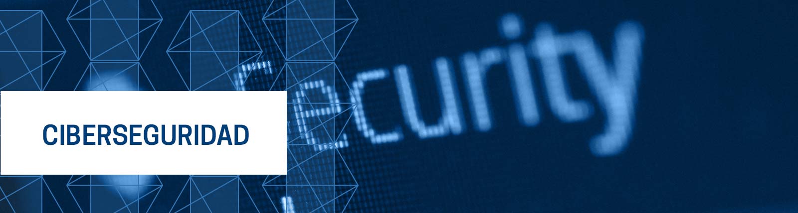 ciberseguridad